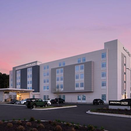 Springhill Suites By Marriott Columbia Near Fort Jackson Екстер'єр фото